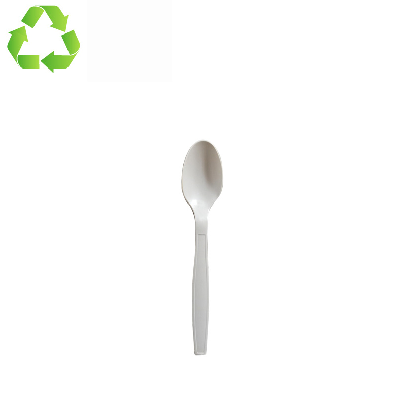 Palucart 100 cucchiaini biodegradabili Bianchi in PLA Fibra di Zucchero monouso stoviglie compostabili 