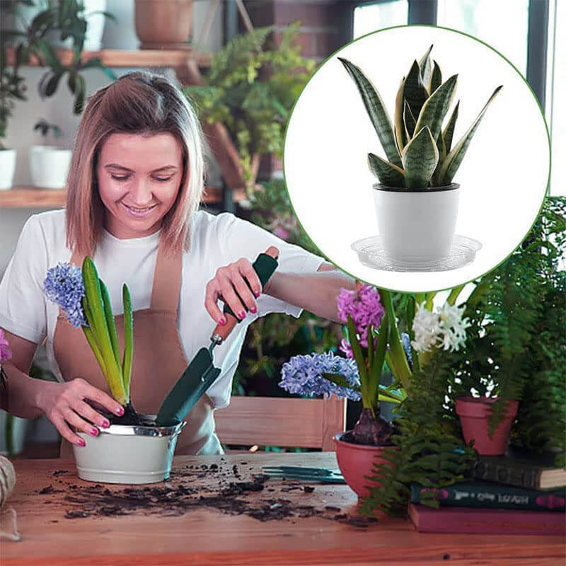 Sottovaso trasparente per vasi di piante e fiori da 12 cm