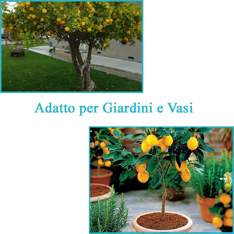 Terriccio Agrumi - Il Paese Verde
