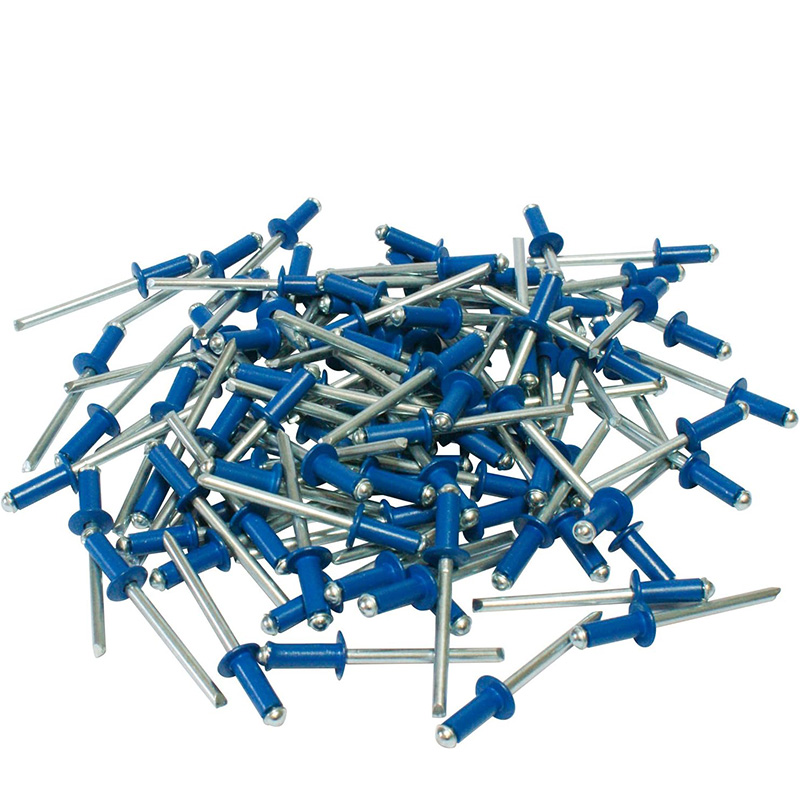 Rivetti BLU per targa europea in acciaio mis. 4,8x12 mm