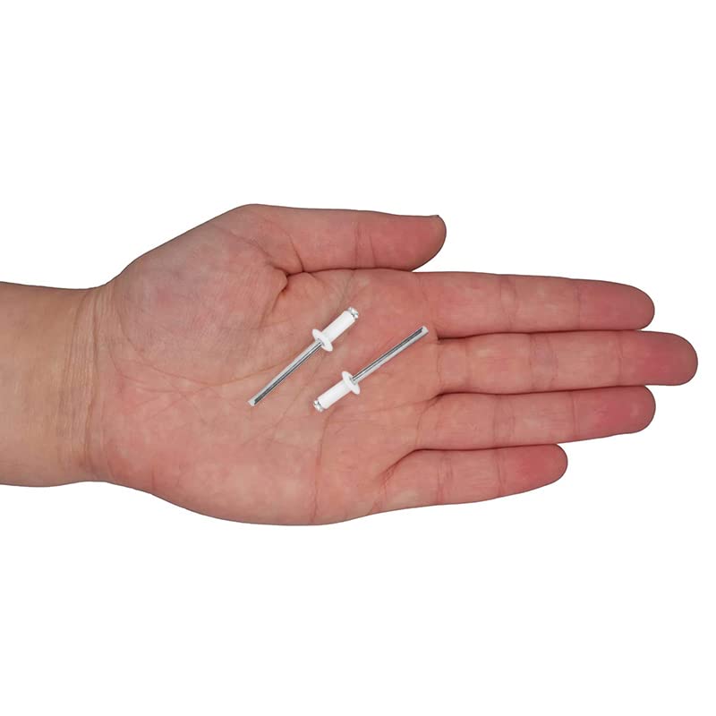 100 Rivetti colore BIANCO in acciaio per fissaggio targa europea mis. 4,8x12 mm - Rivetti ciechi a griffe per auto e moto