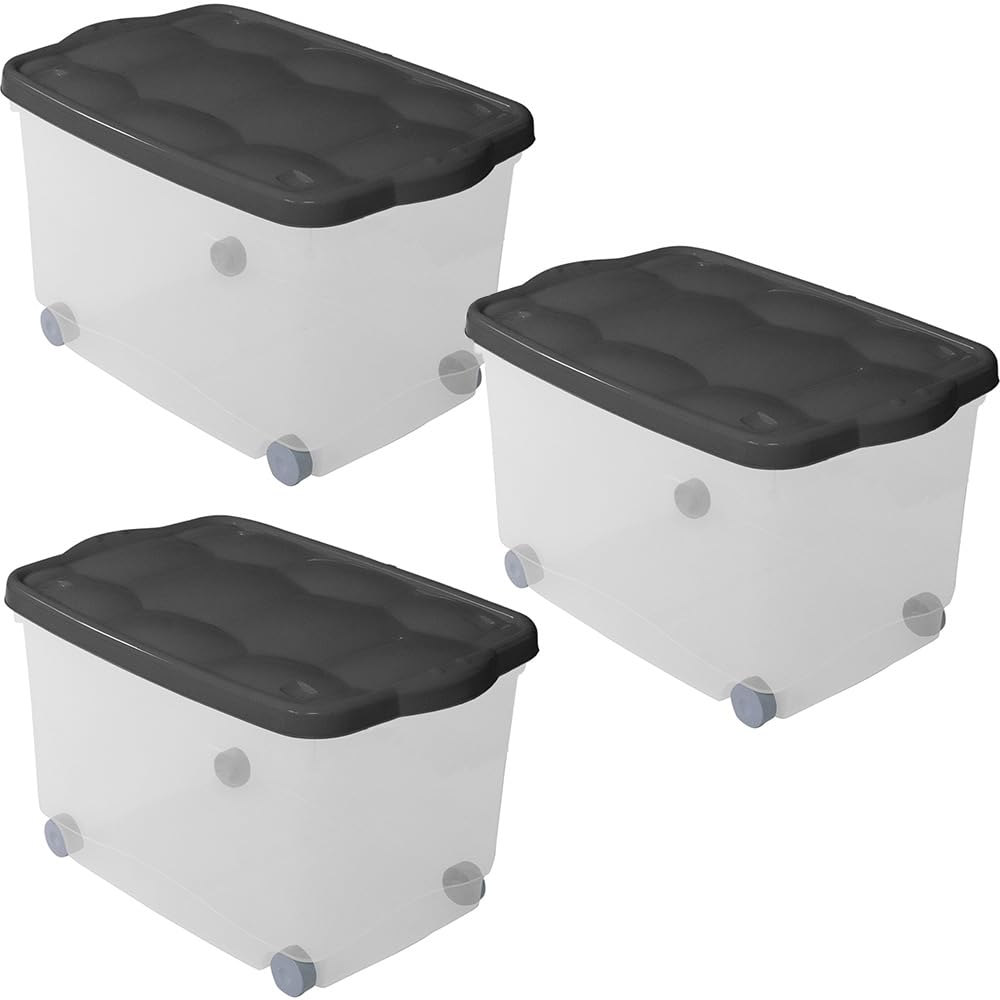 Contenitore Organizer Con Rotelle CASARIA 120L - Box Plastica Trasparente Con Coperchio, Per Cambio Stagione