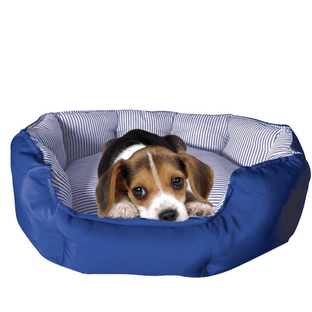 Trasportino Per Animali Piccoli 32x47x32 Cm Rosa - Rigido, Traspirante E Con Maniglia - Foto 3