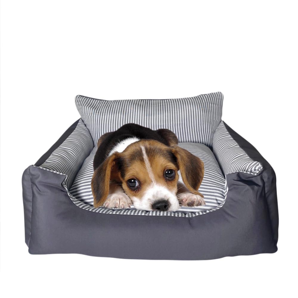 Cuccia Cane PawHut Divano Per Cani Rialzato Con Spazio