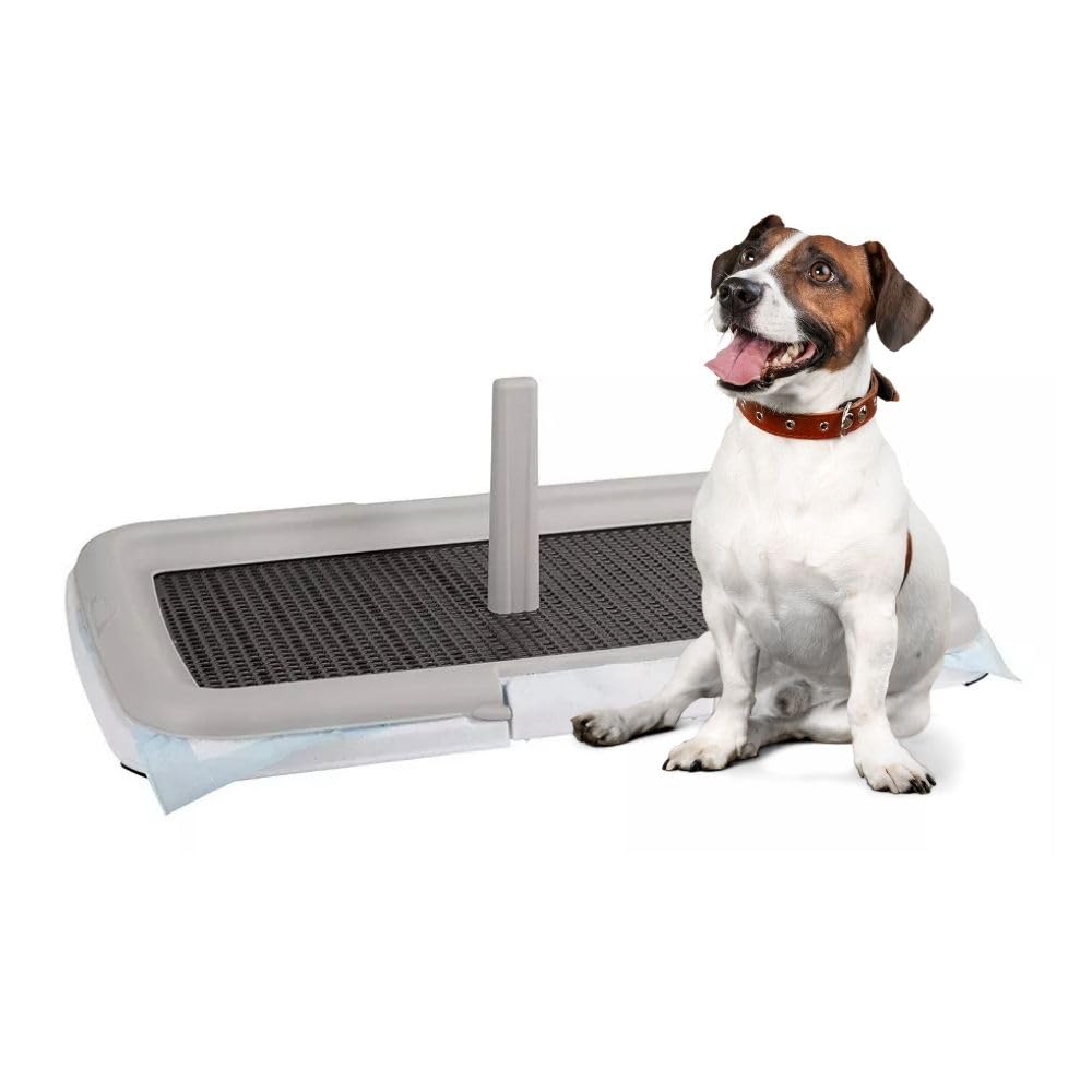 Supporto Per Pipì Cani - 2 Pezzi, Antispruzzo, Per Addestramento E Pulizia Facile - Foto 5